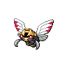 ninjask